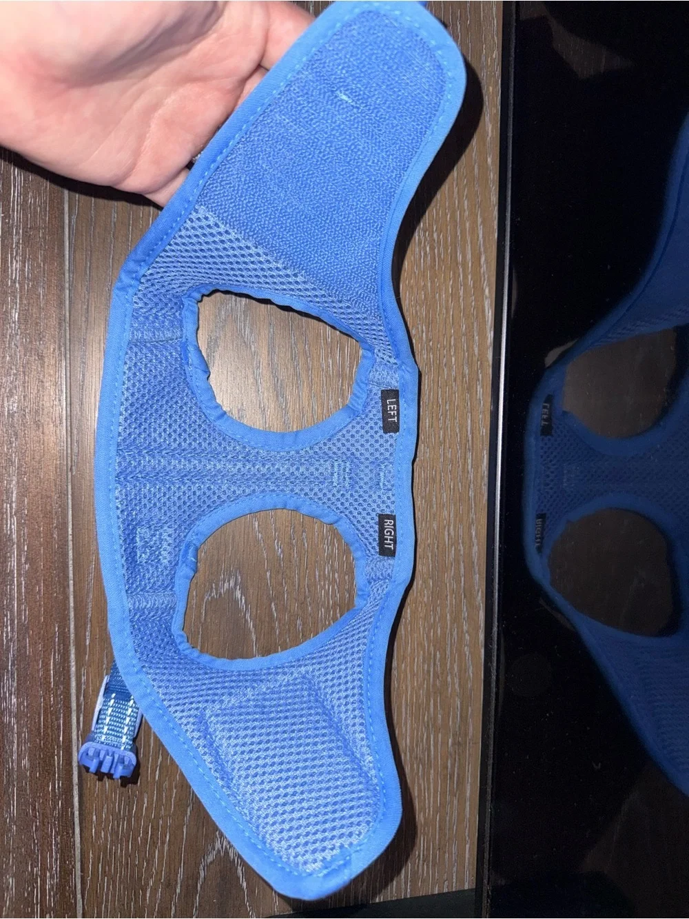 Boots & Barkley Blue Padded Dog Harness